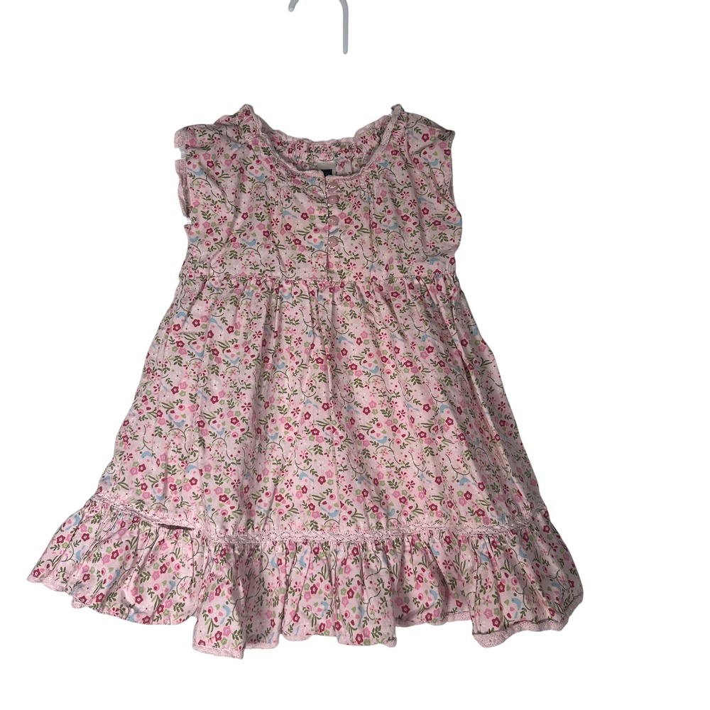 Baby Gap Pink Floral Bird Ruffle Lace Trim Cotton Dress 18-24 Months Infant